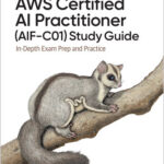 AWS Certified AI Practitioner (AIF-C01) Study Guide