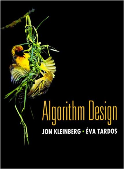 Algorithm Design