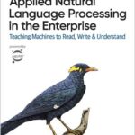 Applied Natural Language Processing in the Enterprise