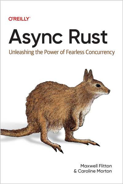 Async-Rust_nL1732459233 Async Rust - تصویر 1