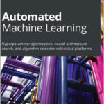 Automated Machine Learning