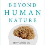 Beyond Human Nature