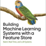 Building Machine Learning Systems with a Feature Store