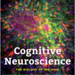 Cognitive Neuroscience