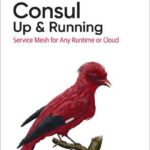Consul: Up and Running