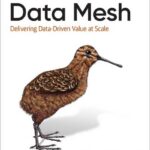 Data Mesh