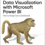Data Visualization with Microsoft Power BI