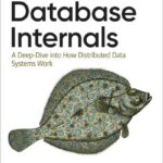 Database Internals