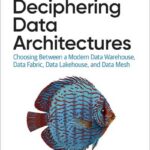 Deciphering Data Architectures