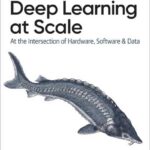 Deep Learning at Scale