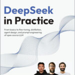 DeepSeek in Practice