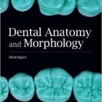 Dental Anatomy and Morphology
