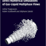 Direct Numerical Simulations of Gas–Liquid Multiphase Flows
