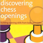 Discovering Chess Openings