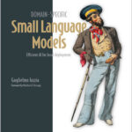 Domain-Specific Small Language Models
