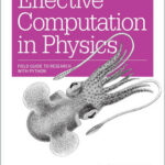 Effective Computation in Physics