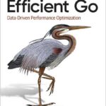 Efficient Go
