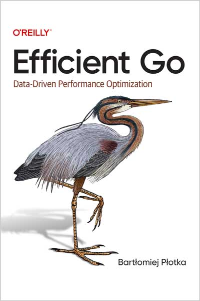 Efficient-Go_KA1696528359 Efficient Go - تصویر 1