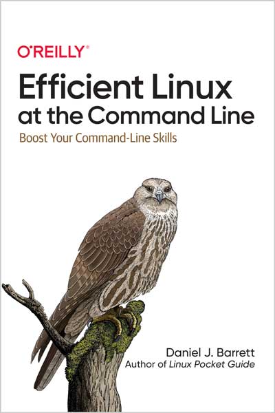 Efficient-Linux-at-the-Command-Line_Lk1661779694 Efficient Linux at the Command Line - تصویر 1