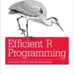 Efficient R Programming