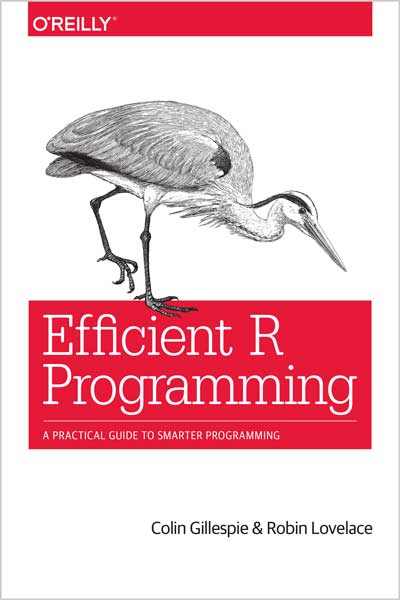 Efficient-R-Programming_pe1659283451 Efficient R Programming - تصویر 1