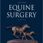 Equine Surgery