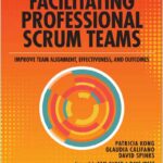 Facilitating Professional Scrum Teams
