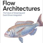 Flow Architectures