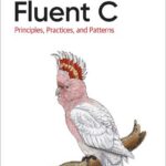 Fluent C