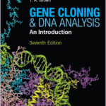 Gene Cloning and DNA Analysis