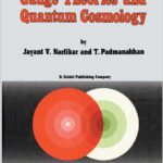 Gravity, Gauge Theories and Quantum Cosmology