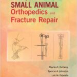 Handbook of Small Animal Orthopedics and Fracture Repair