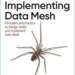 Implementing Data Mesh