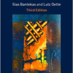 International Human Rights Law and Practice