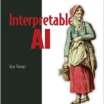Interpretable AI
