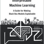 Interpretable Machine Learning