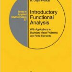 Introductory Functional Analysis