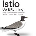 Istio: Up and Running