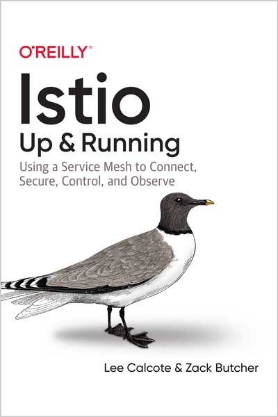 Istio-Up-and-Running_sh1674395366 Istio: Up and Running - تصویر 1