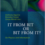It From Bit or Bit From It?