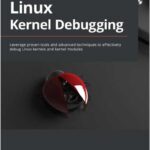 Linux Kernel Debugging