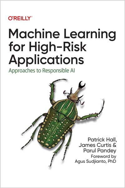 Machine-Learning-for-High-Risk-Applications_c61689617177 Machine Learning for High-Risk Applications - تصویر 1