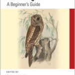 Mastering CSS