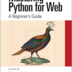 Mastering Python for Web
