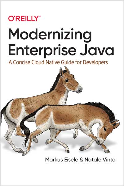Modernizing-Enterprise-Java_vg1677942883 Modernizing Enterprise Java - تصویر 1