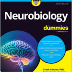 Neurobiology For Dummies