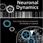 Neuronal Dynamics