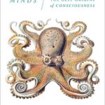Other Minds