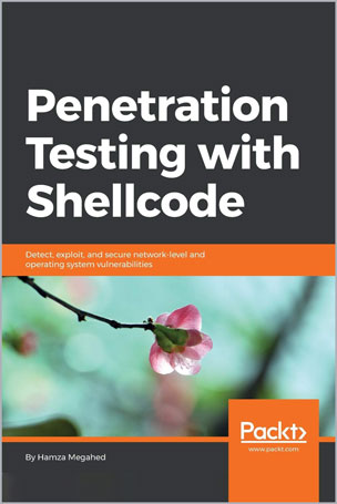 Penetration-Testing-with-Shellcode_fp1735137557 Penetration Testing with Shellcode - تصویر 1