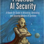 Practical AI Security